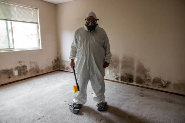 Fairlawn, VA Mold Removal Company